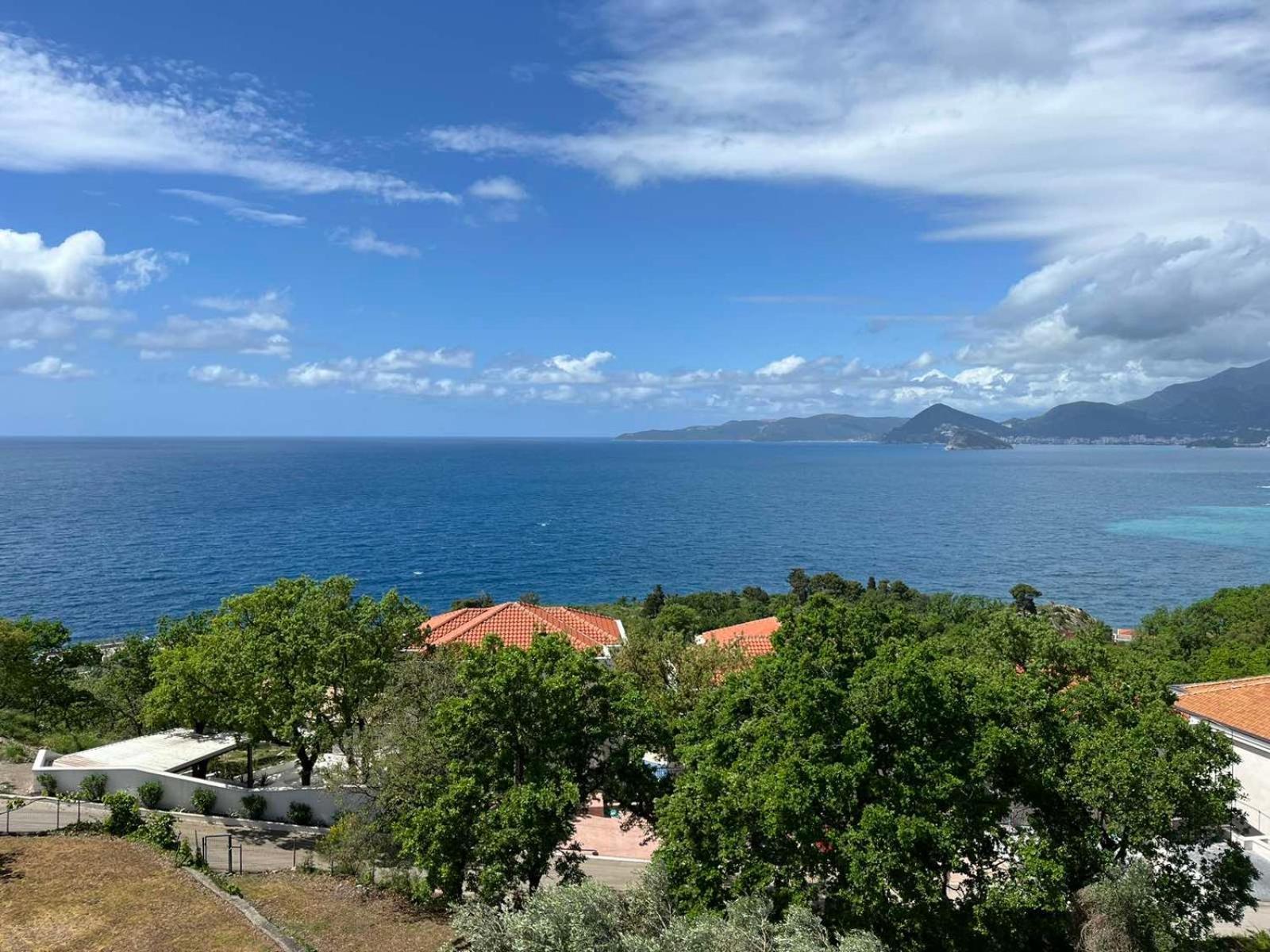 Vila Natalia Petrovac Exterior photo