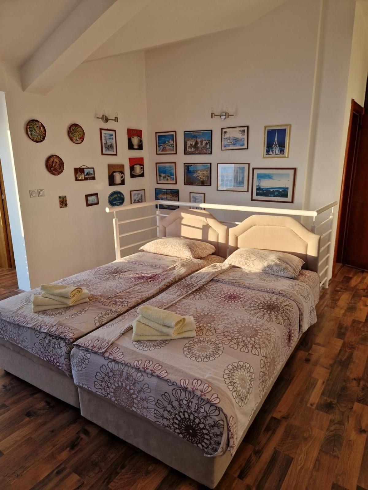 Vila Natalia Petrovac Exterior photo