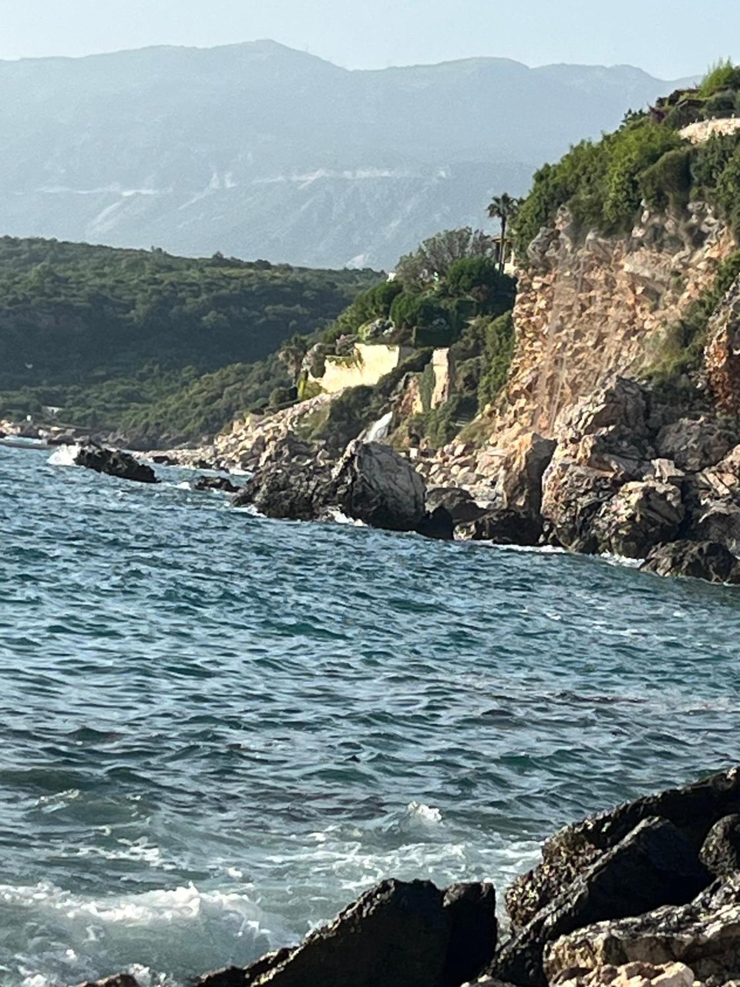 Vila Natalia Petrovac Exterior photo